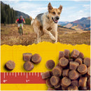 Zuke’s Mini Naturals Training Dog Treats, Salmon Recipe, Made with Real Salmon Plus Vitamins & Minerals, Dog Treats for Training, 16 Ounce - Trustables