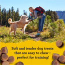 Zuke's Mini Naturals Training Dog Treats Chicken Recipe, 16 OZ