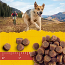 Zuke's Mini Naturals Training Dog Treats Chicken Recipe, 16 OZ