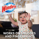 Windex Glass and Window Cleaner Refill, Original Blue, 67.6 OZ - Trustables