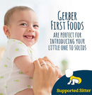 Gerber 1st Foods, Organic Banana, 4 OZ