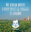 Gerber My 1st Fruits Starter Kit Banana, Pear & Apple, 12 OZ