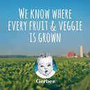 Gerber 2nd Foods Vegetable Chicken, 8 oz