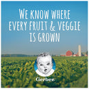 Gerber My 1st Fruits and Veggies Stage 1 Baby Food Starter Pack, 2 Ounce Tubs (12 Count) - Trustables