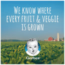 Gerber My 1st Fruits Starter Kit Banana, Pear & Apple, 12 OZ