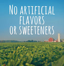 Gerber Yogurt Melts, Strawberry, 1 OZ - Trustables