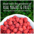 Gerber Fruit & Veggie Melts Snack Variety Pack, 3 Very Berry Blend and 3 Truly tropical Blend, 6-CT - Trustables