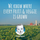 Gerber 2nd Foods Sweet Potato Turkey with Whole Grains, 8 oz - Trustables