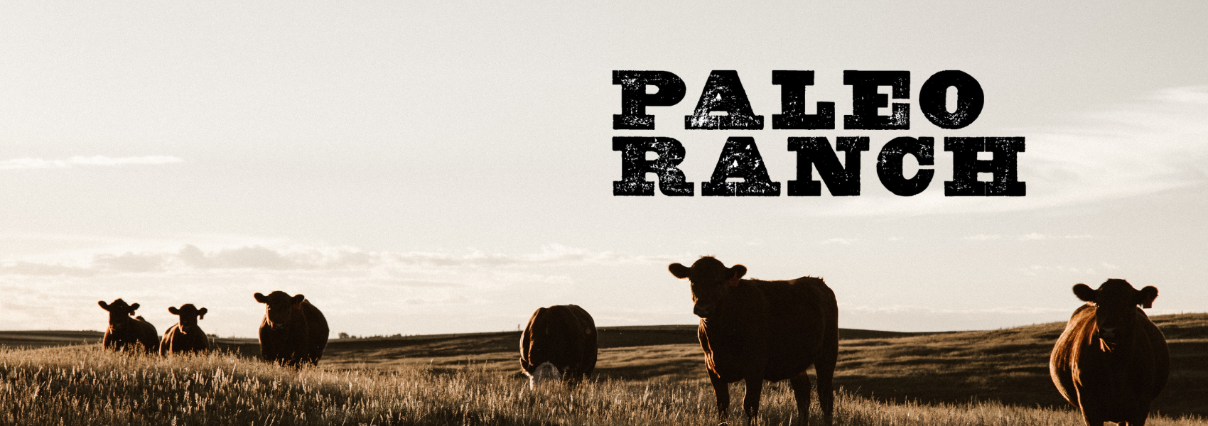 PALEO RANCH Better for You Paleo Snacks & Meal Replacements | Trustables