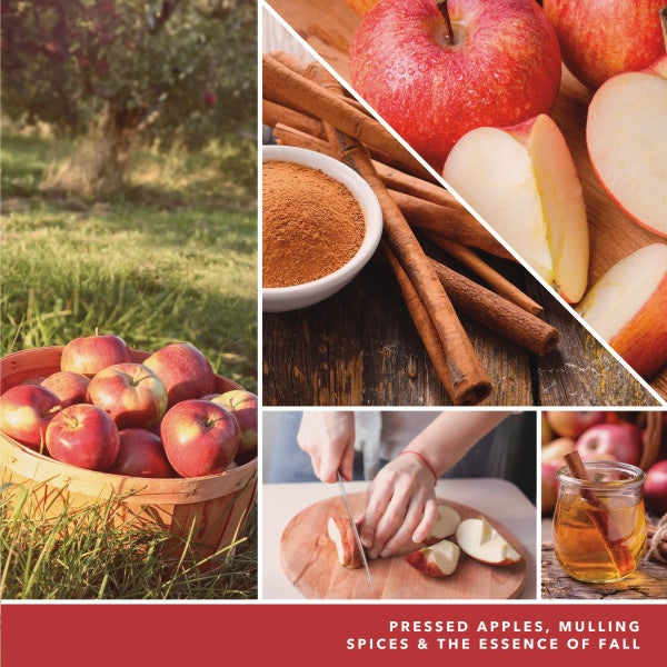 Yankee Candle Ciderhouse Scenterpiece Easy MeltCup (Pack of 6)