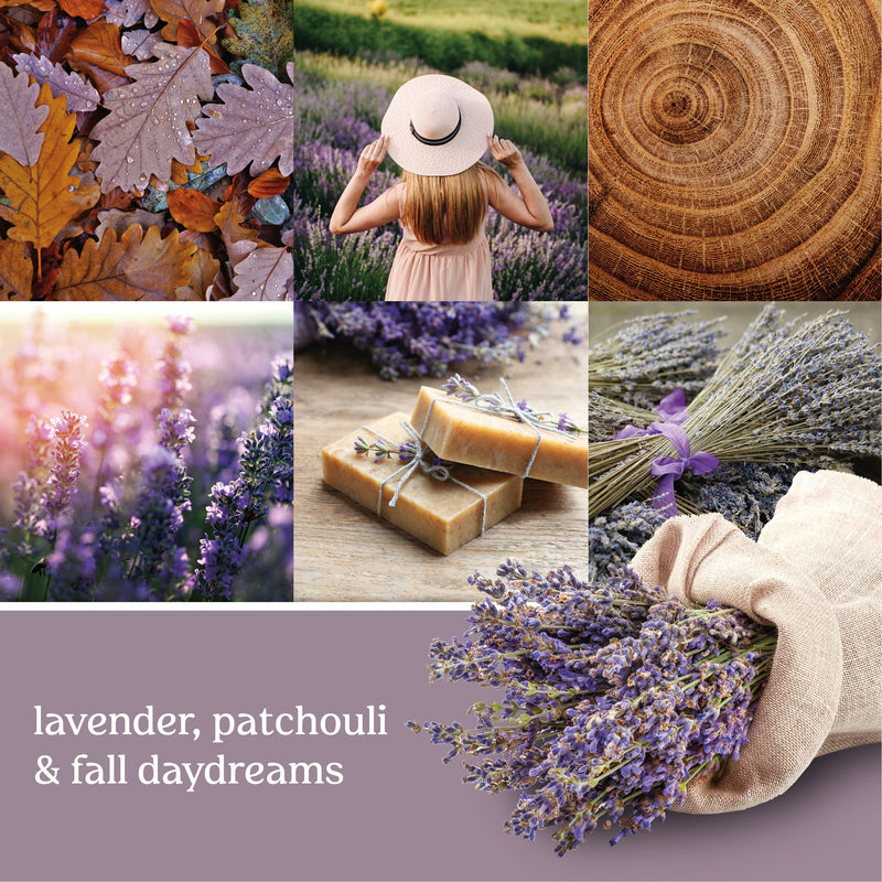 Yankee Candle Concentrated Air Freshener Room Spray, Odor Eliminator for Home, Bathroom, Dried Lavender & Oak, 1.5 Oz (Pack of 3)