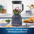 Oster Pro Series Blender with 1100-Watt High-Performance Motor