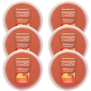 Yankee Candle Spiced Pumpkin Scenterpiece Easy MeltCup (Pack of 6)