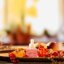 Yankee Candle Scent Plug Refill, Harvest Gems (Pack of 4)