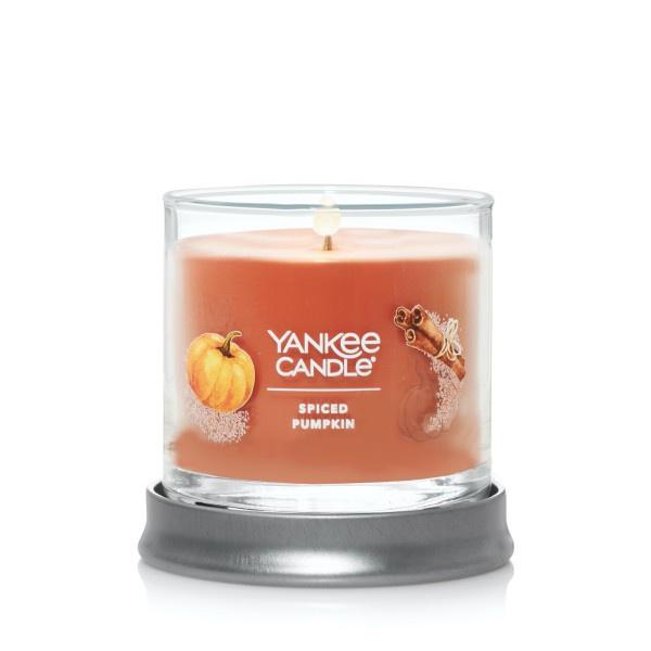 Yankee Candle Small Tumbler Scented Single Wick Jar Candle, Spiced Pumpkin, Over 20 Hours of Burn Time, 4.3 Ounce (Pack of 2)