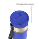 Contigo DualSip Leakproof Insulated Water Bottle with Carry Strap and 2-Way Lid, Wild Indigo Champagne, 24 Ounce
