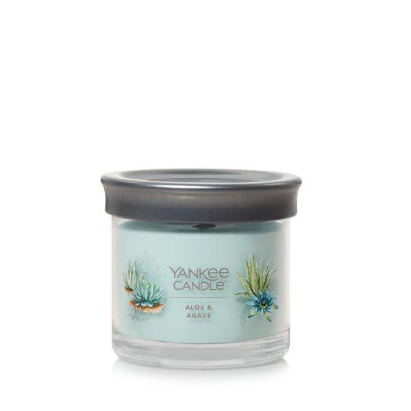 Yankee Candle Small Tumbler Scented Single Wick Jar Candle, Aloe & Agave, Over 20 Hours of Burn Time, 4.3 Ounce (Pack of 2)