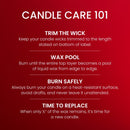 Yankee Candle Large Tumbler Scented Candle, Red Apple Wreath, 20 oz