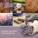 Yankee Candle Dried Lavender & Oak Scenterpiece Easy MeltCup (Pack of 4)