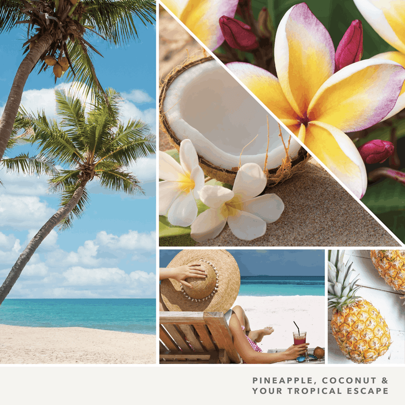 Yankee Candle Coconut Beach Scenterpiece Easy MeltCup (Pack of 4)