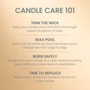 Yankee Candle Large Tumbler Scented Candle, Christmas Cookie, 20 oz