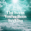 Yankee Candle Large Tumbler Scented Candle, Catching Rays, 20 oz