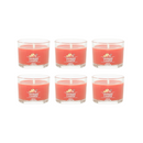 Yankee Candle Signature Votive Mini Candle Jar, Apple Pumpkin Scent, Natural Soy Wax Blend Candle with Natural Fiber Wick, 1.3 OZ Glass Jar (Pack of 6)