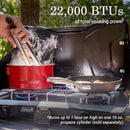 Coleman Triton+ 2-Burner Propane Gas Camping Stove