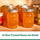 Ball Limited Edition Sunshine Glass Mason Jars, Regular Mouth, Pint Size, 16 OZ, 4 CT (3-Pack)