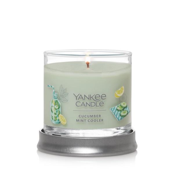 Yankee Candle Small Tumbler Scented Single Wick Jar Candle, Cucumber Mint Cooler, Over 20 Hours of Burn Time, 4.3 Ounce (Pack of 4)