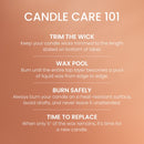 Yankee Candle Large Tumbler Scented Candle, Tangerine & Vanilla, 20 oz