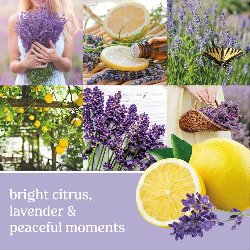 Yankee Candle Lemon Lavender Scenterpiece Easy MeltCup (Pack of 4)