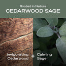 Hey Humans Body Wash Cedarwood Sage 14 Fl OZ (Pack of 1)