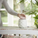 Yankee Candle Pink Sands Scenterpiece Easy MeltCup (Pack of 6)