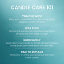 Yankee Candle Large Tumbler Scented Candle, Catching Rays, 20 oz