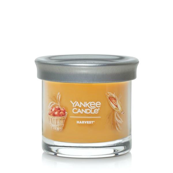 Yankee Candle Small Tumbler Scented Single Wick Jar Candle, Harvest, Over 20 Hours of Burn Time, 4.3 Ounce (Pack of 2)