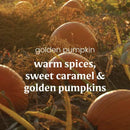 Yankee Candle Scent Plug Refill, Golden Pumpkin (Pack of 6)