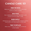 Yankee Candle Large Tumbler Scented Candle, Cliffside Sunrise, 20 oz