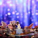 Yankee Candle Scent Plug Refill, Moonlit Woods (Pack of 6)