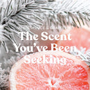 Yankee Candle Large Tumbler Scented Candle, White Spruce & Grapefruit, 20 oz