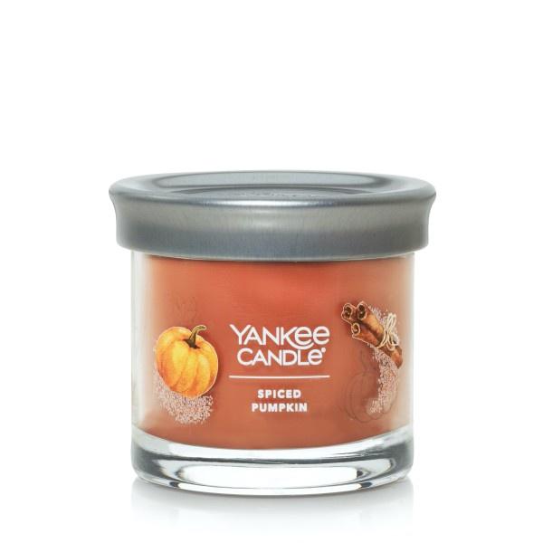 Yankee Candle Small Tumbler Scented Single Wick Jar Candle, Spiced Pumpkin, Over 20 Hours of Burn Time, 4.3 Ounce (Pack of 2)