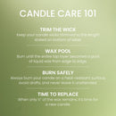 Yankee Candle Large Tumbler Scented Candle, Green Apple Sorbet, 20 oz