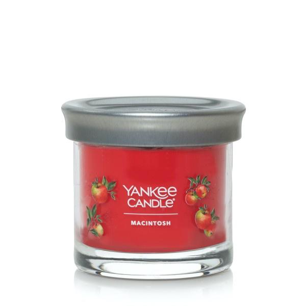 Yankee Candle Small Tumbler Scented Single Wick Jar Candle, Macintosh, Over 20 Hours of Burn Time, 4.3 Ounce (Pack of 2)