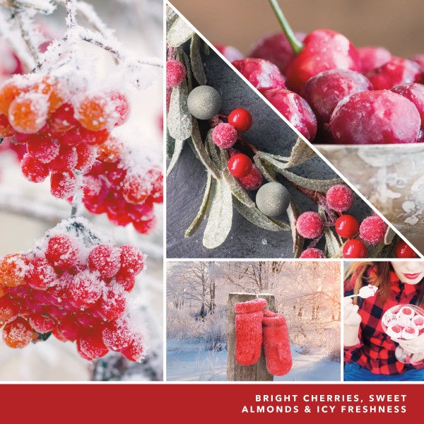 Yankee Candle Cherries on Snow Scenterpiece Easy MeltCup (Pack of 6)