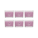 Yankee Candle Signature Votive Mini Candle Jar, Wild Orchid Scent, Natural Soy Wax Blend Candle with Natural Fiber Wick, 1.3 OZ Glass Jar (Pack of 6)