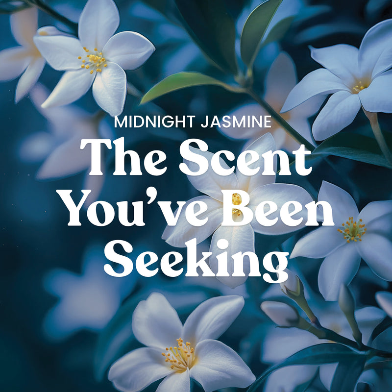 Yankee Candle Medium Pillar Scented Candle, Midnight Jasmine, 14.25 oz (2-Pack)