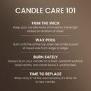 Yankee Candle Medium Pillar Scented Candle, Seaside Woods, 14.25 oz (2-Pack)