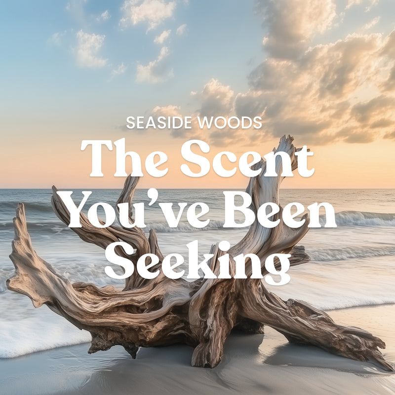 Yankee Candle Medium Pillar Scented Candle, Seaside Woods, 14.25 oz (2-Pack)