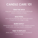 Yankee Candle Medium Pillar Scented Candle, Wild Orchid, 14.25 oz (2-Pack)