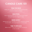 Yankee Candle Small Tumbler Scented Single Wick Jar Candle, Iced Berry Lemonade, 4.3 Ounce (Pack of 2)